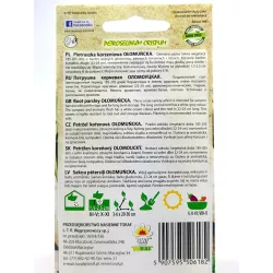 Toraf 5g Pietruszka Korzeniowa Ołomuńcka Nasiona warzyw odmiana późna kształtna bardzo plenna smaczna