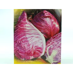 Toraf 1g Kapusta Głowiasta Czerwona Kalibos Nasiona warzyw odmiana średnio-późna kiszonki surówki sałatki