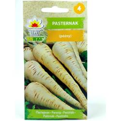 Toraf 5g Pasternak Półdługi Biały Guernsey Nasiona warzyw delikatny w smaku wysokie wartości odżywcze