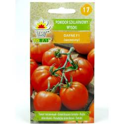 Toraf 0,2 Pomidor Dafne Szklarniowy Nasiona warzyw odmiana wczesna pod osłony Długie przechowywanie