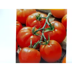 Toraf 0,1g Pomidor Dafne Szklarniowy Nasiona warzyw odmiana wczesna pod osłony Długie przechowywanie