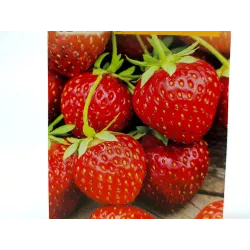 Toraf 20szt. Truskawka Tresca Nasiona owoców słodka smaczna odmiana gruntowa