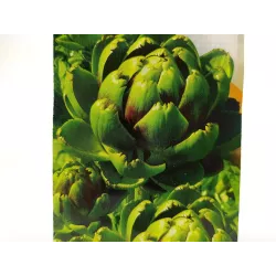 Toraf 1g Karczoch Vert de Provence Nasiona warzyw roślina ozdobna jadalna afrodyzjak