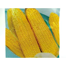 Toraf 20g Kukurydza Złota Karłowa Nasiona warzyw odmiana wczesna cukrowa