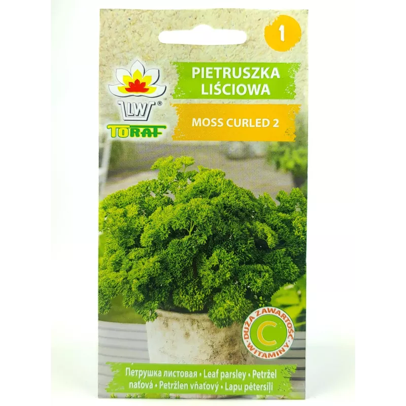 Toraf 2g Pietruszka Naciowa Moss Curled Karbowana Nasiona warzyw do zup sosów działanie lecznicze