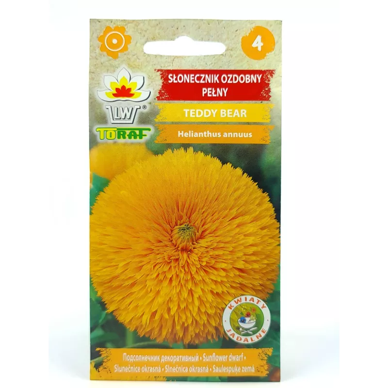 Toraf 2g Słonecznik Teddy Bear Ozdobny Pełny Nasiona kwiatów roślina na kwiat cięty ozdoba rabatki