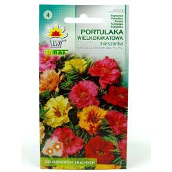 Toraf 0,5g Portulaka Wielokwiatowa Mix Nasiona kwiatów mieszanka kolorów obwódki kwietniki niska roślina