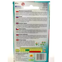 Toraf 1g Mietelnik Cyprysik letni Nasiona Zielony Efektowny