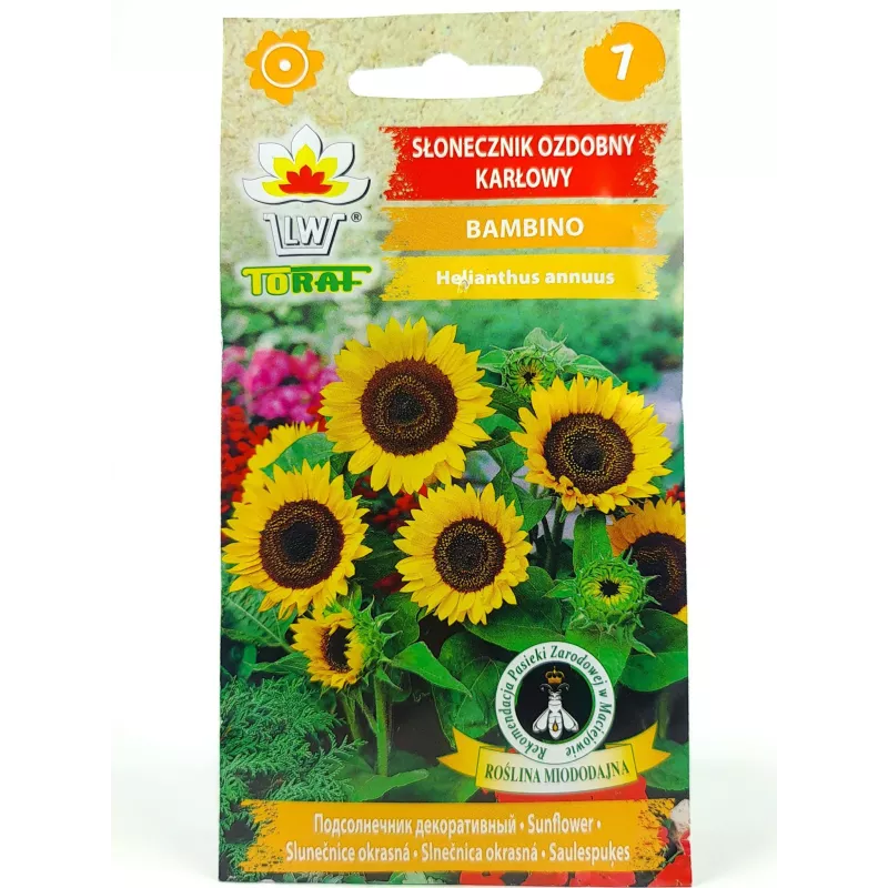 Toraf 1g Słonecznik Ozdobny Bambino Nasiona kwiatów Odmiana karłowa żółta