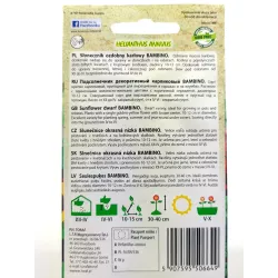 Toraf 1g Słonecznik Ozdobny Bambino Nasiona kwiatów Odmiana karłowa żółta