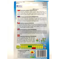 Toraf 2g Kukurydza Truskawkowa Nasiona ozdobna Ciekawy Kolor Bukiet