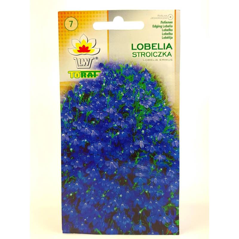 Toraf 0,2g Lobelia Stroiczka Niebieska Nasiona kwiatów roślina na obwódki kwietniki