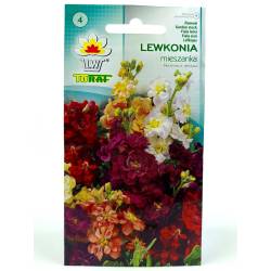 Toraf 0,5g Lewkonia Letnia Mix Nasiona kwiatów pachnących mieszanka kolorów