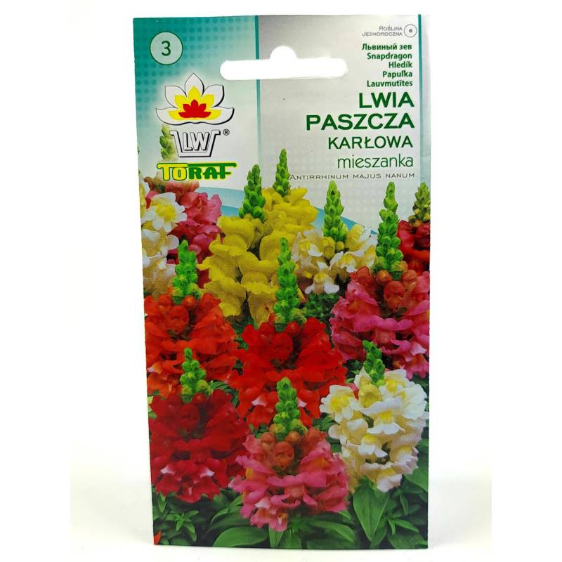 Toraf 0,5g Lwia Paszcza Karłowata Mix Nasiona Kwiatów ogrodowych mieszanka kolorów