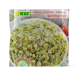 Toraf 50g Fasola Mung Nasiona Kiełki wyjątkowo smaczna kiełkownica