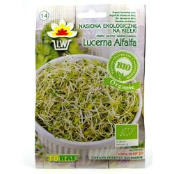 Toraf 20g Lucerna Alfalfa Nasiona Kiełki Bio-Organic ekologiczne kiełków lucerny