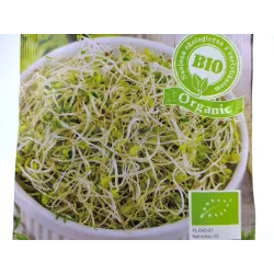 Toraf 20g Lucerna Alfalfa Nasiona Kiełki Bio-Organic ekologiczne kiełków lucerny