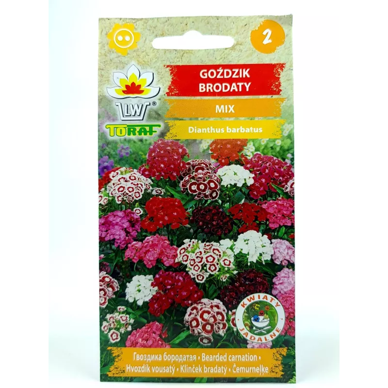 Toraf 1g Goździk Brodaty Mix Nasiona kwiatów dwuletnich Bylina Mieszanka barw Rabatki