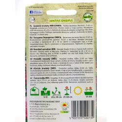 Toraf 1g Goździk Brodaty Mix Nasiona kwiatów dwuletnich Bylina Mieszanka barw Rabatki