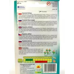 Toraf 0,5g Gazania Lśniąca Żółto-pomarańczowa Nasiona kwiatów jednorocznych Ogródki skalne