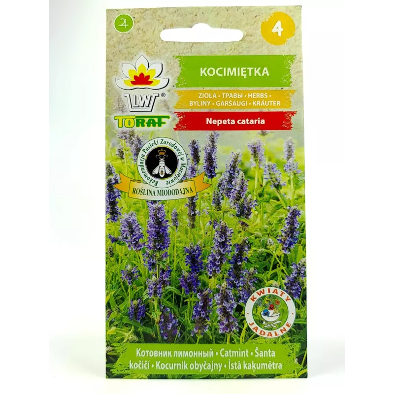 Toraf 0,4g Kocimiętka Nasiona ziół Roślina wieloletnia Przyciągająca koty Leczy przeziębienie