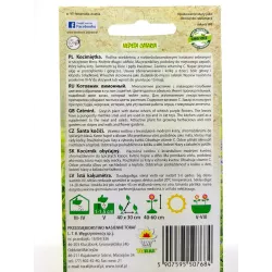 Toraf 0,4g Kocimiętka Nasiona ziół Roślina wieloletnia Przyciągająca koty Leczy przeziębienie