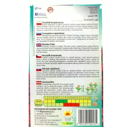 Toraf 0,5g Goździk Kropkowany Nasiona kwiatów wieloletnich Bylina Obficie kwitnąca Różowe kwiaty