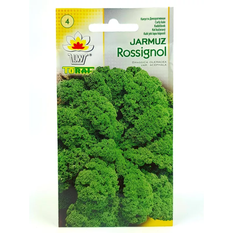 Toraf 1g Jarmuż Rossignol Nasiona warzyw Źródło witamin Surówki Sałatki