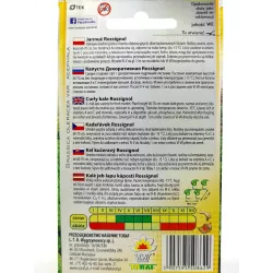 Toraf 1g Jarmuż Rossignol Nasiona warzyw Źródło witamin Surówki Sałatki