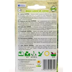 Toraf 1g Jarmuż Kapral Nasiona warzyw Odmiana średniowczesna Bogate źródło witamin