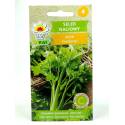 Toraf 0,5g Seler Naciowy Zefir Nasiona warzyw Odmiana wczesna Zdrowy dodatek Źródło cennych składników