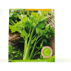 Toraf 0,5g Seler Naciowy Zefir Nasiona warzyw Odmiana wczesna Zdrowy dodatek Źródło cennych składników