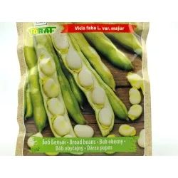 Toraf 50g Bób Windsor biały Nasiona warzyw Odmiana średnio wczesna plenna Duże nasiona