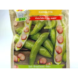 Toraf 30g Bób Karmazyn Nasiona warzyw Średnio wczesny Odmiana plenna Nasiona różowe