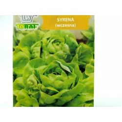 Toraf 1g Sałata Masłowa Syrena Zielona Nasiona warzyw Odmiana wczesna Bardzo plenna