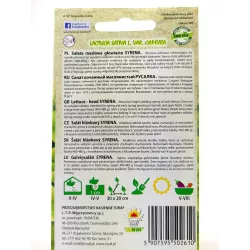 Toraf 1g Sałata Masłowa Syrena Zielona Nasiona warzyw Odmiana wczesna Bardzo plenna