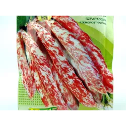 Toraf 10g Fasola Szparagowa Borlotto Lingua di Fuoco Nano Nasiona warzyw Odmiana dwubarwna karłowa Wczesna