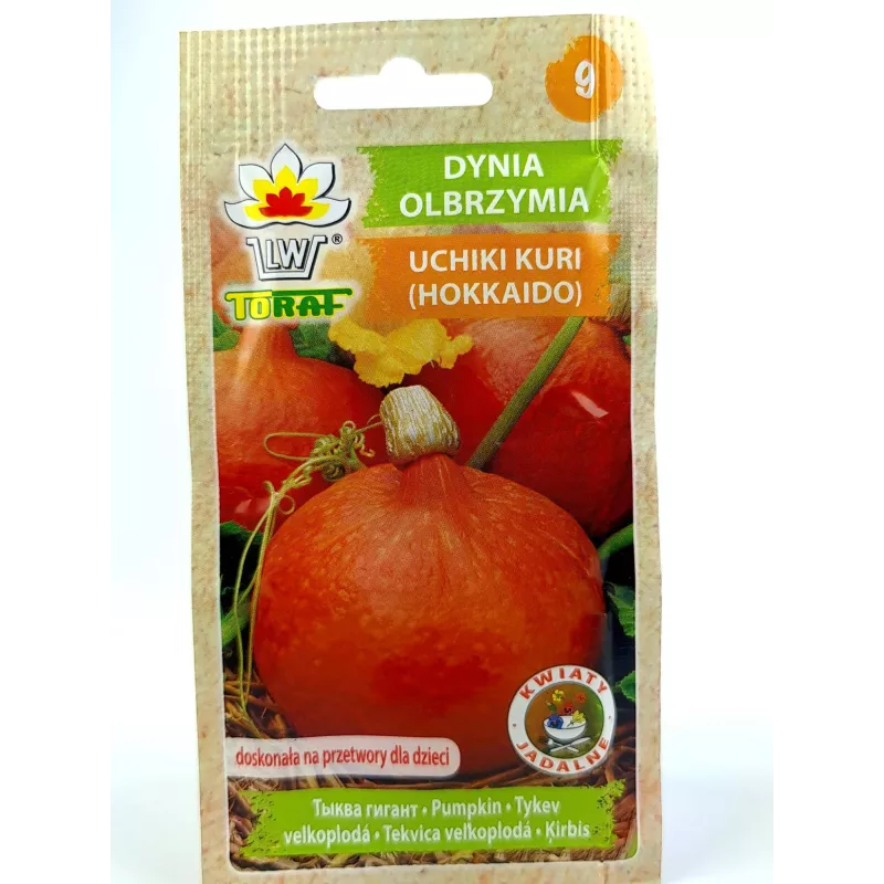 Toraf 4g Dynia Olbrzymia Uchiki Kuri Typ Hokkaido Nasiona warzyw Duszenie Grillowanie Sałatki