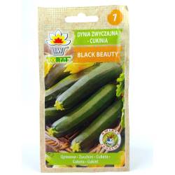 Toraf 5g Cukinia Black Beauty Nasiona warzyw Odmiana wczesna Dynia Konserwowanie Duszenie Zapiekanie
