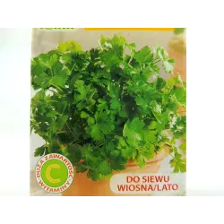 Toraf 5g Pietruszka Liściowa Festival 68 Nasiona warzyw Odmiana zimująca Aromatyczna Bogactwo witamin