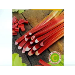 Toraf 0,5g Rabarbar Victoria Nasiona warzyw Odmiana średniowczesna plenna Bogactwo witamin