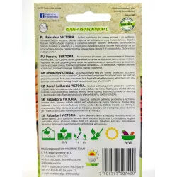 Toraf 0,5g Rabarbar Victoria Nasiona warzyw Odmiana średniowczesna plenna Bogactwo witamin