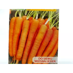 Toraf 5g Marchew Karotela Nasiona warzyw Odmiana średniowczesna Typ nantes Przetwory domowe Soki
