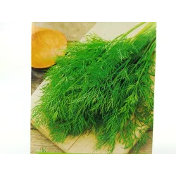 Toraf 5g Koper Ogrodowy Sprinter Nasiona ziół Odmiana średniowczesna Aromatyczny Szybko rośnie