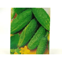 Toraf 5g Ogórek Parys F1 Nasiona warzyw Odmiana gruntowa średniowczesna Bardzo plenny