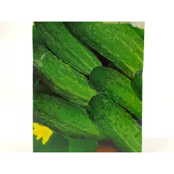 Toraf 5g Ogórek Dalila F1 Nasiona warzyw Odmiana gruntowa średniowczesna Bardzo plenna