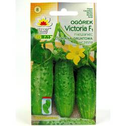 Toraf 5g Ogórek Victoria F1 Nasiona warzyw Odmiana wczesna gruntowa konserwowa plenna konserwowa