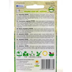 Toraf 0,3g Poziomka Rugia Nasiona owoców Mrozoodporna Plenna Powtarzająca plon