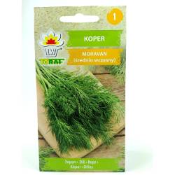 Toraf 5g Koper Ogrodowy Moravan Nasiona ziół Bardzo aromatyczny Odmiana średnio wczesna Dobrze plonuje