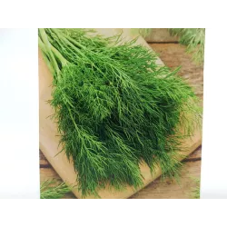 Toraf 5g Koper Ogrodowy Moravan Nasiona ziół Bardzo aromatyczny Odmiana średnio wczesna Dobrze plonuje